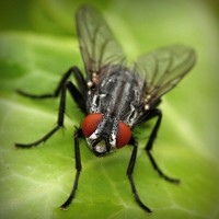 /album/trowelsize0/photolia-a01-jpg/