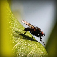 /album/trowelsize0/photolia-a04-jpg/