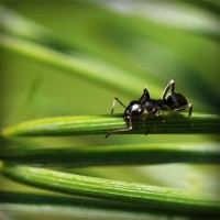 /album/trowelsize0/photolia-a05-jpg/