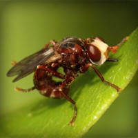 /album/trowelsize0/photolia-a06-jpg/