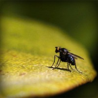 /album/trowelsize0/photolia-a07-jpg/