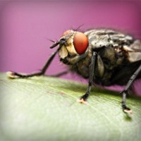 /album/trowelsize0/photolia-a08-jpg/